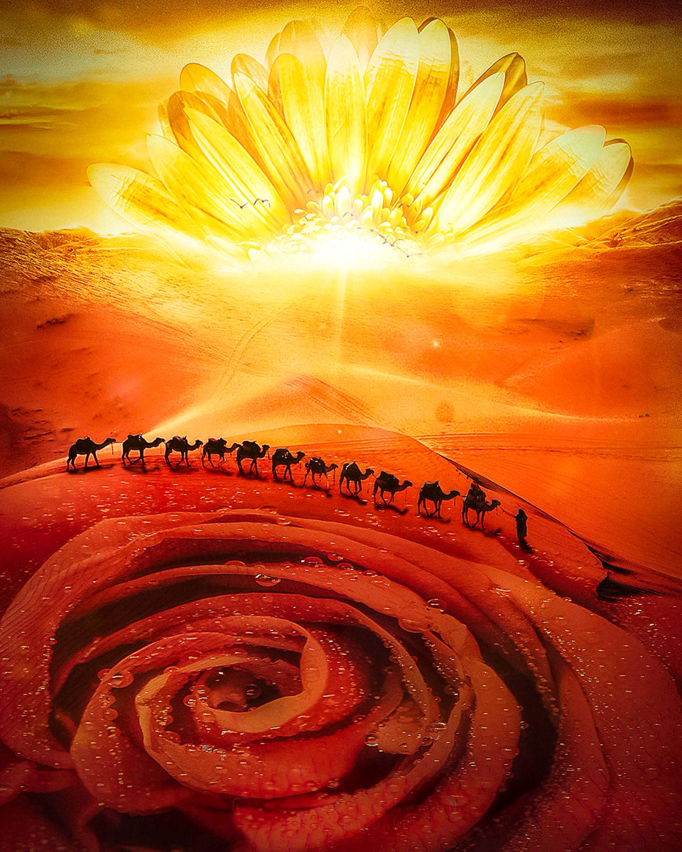 Harshit Dave tweet media