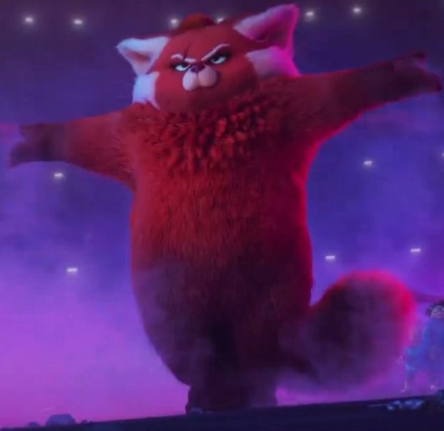 Kalex ♥︎ tweet media