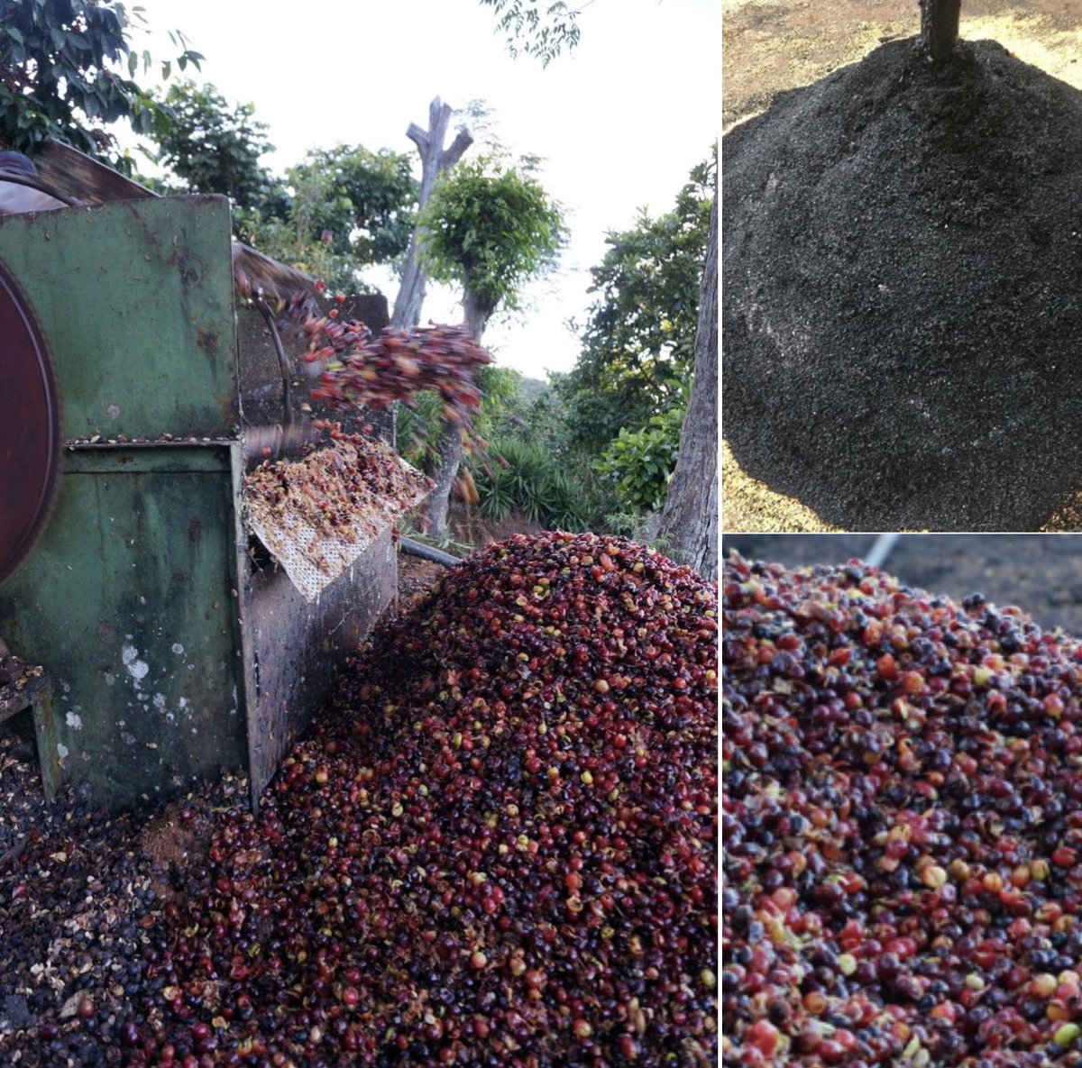 Gerald Katabazi. tweet media