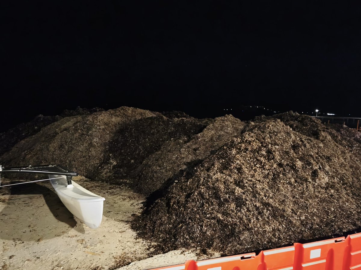 Michel de Cannes tweet media