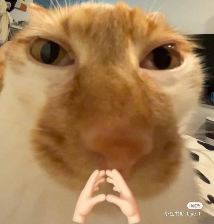 h ( e l e n a ) e n - v a c a c I o n e s. tweet media