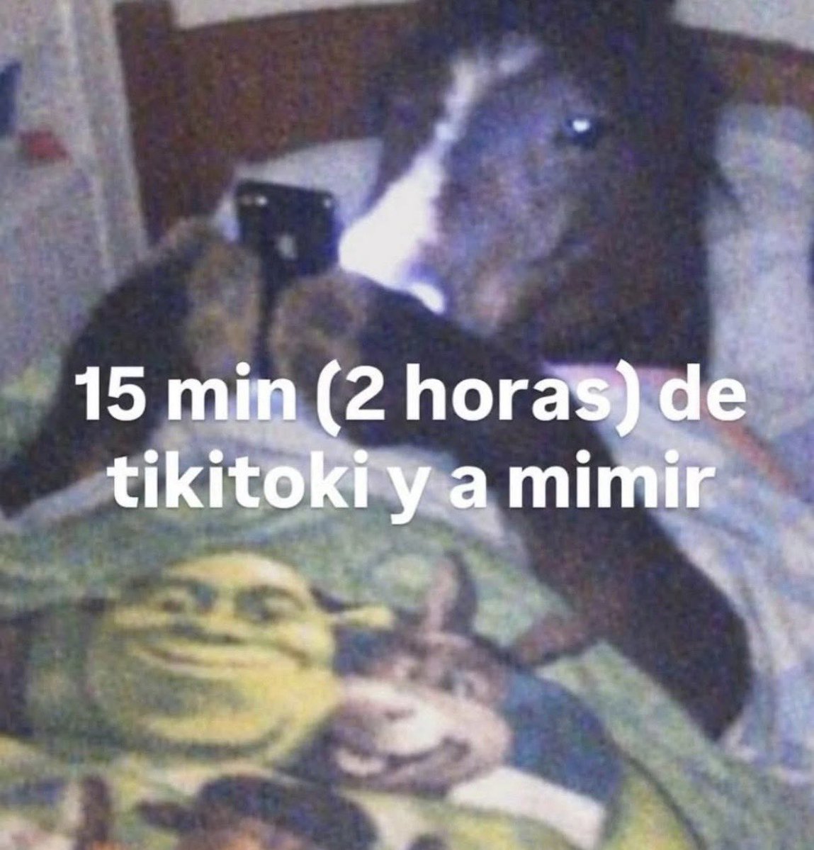 El Pandita Rojo tweet media