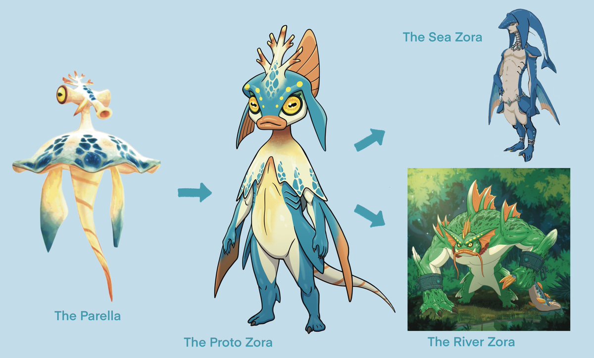 Inksmithart's tweet photo. My idea of what the Proto Zora species would look like after it had evolved from the Parella species from skyward sword, but before it had diverged into the sea and river variety of Zora.

#legendofzelda #botw #totk #zora #conceptart https://t.co/QvVKmbDIMh