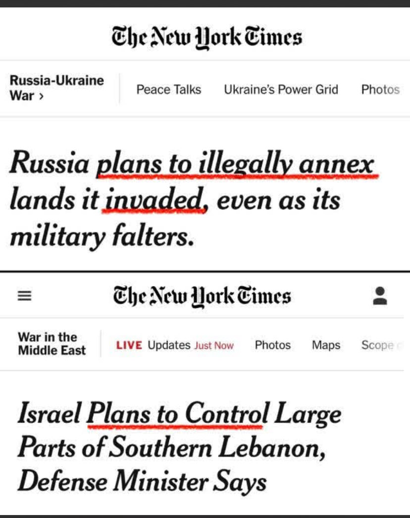 neil  small tweet media