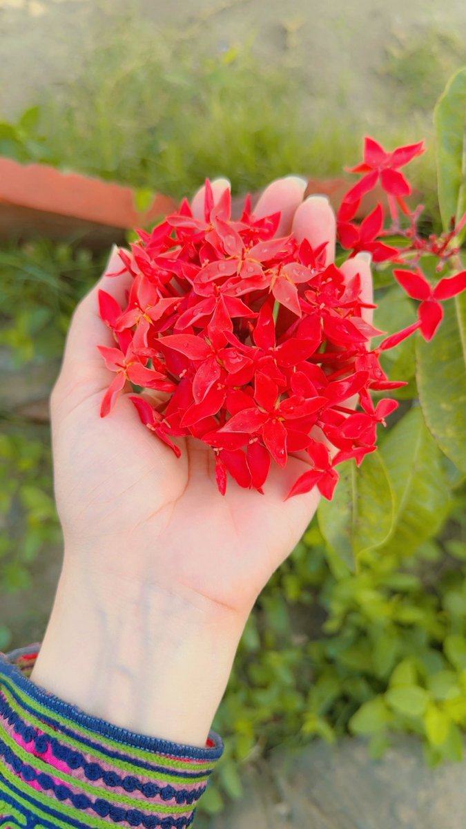 When you know all the smiles around you are fake, go with the flow, be patient.