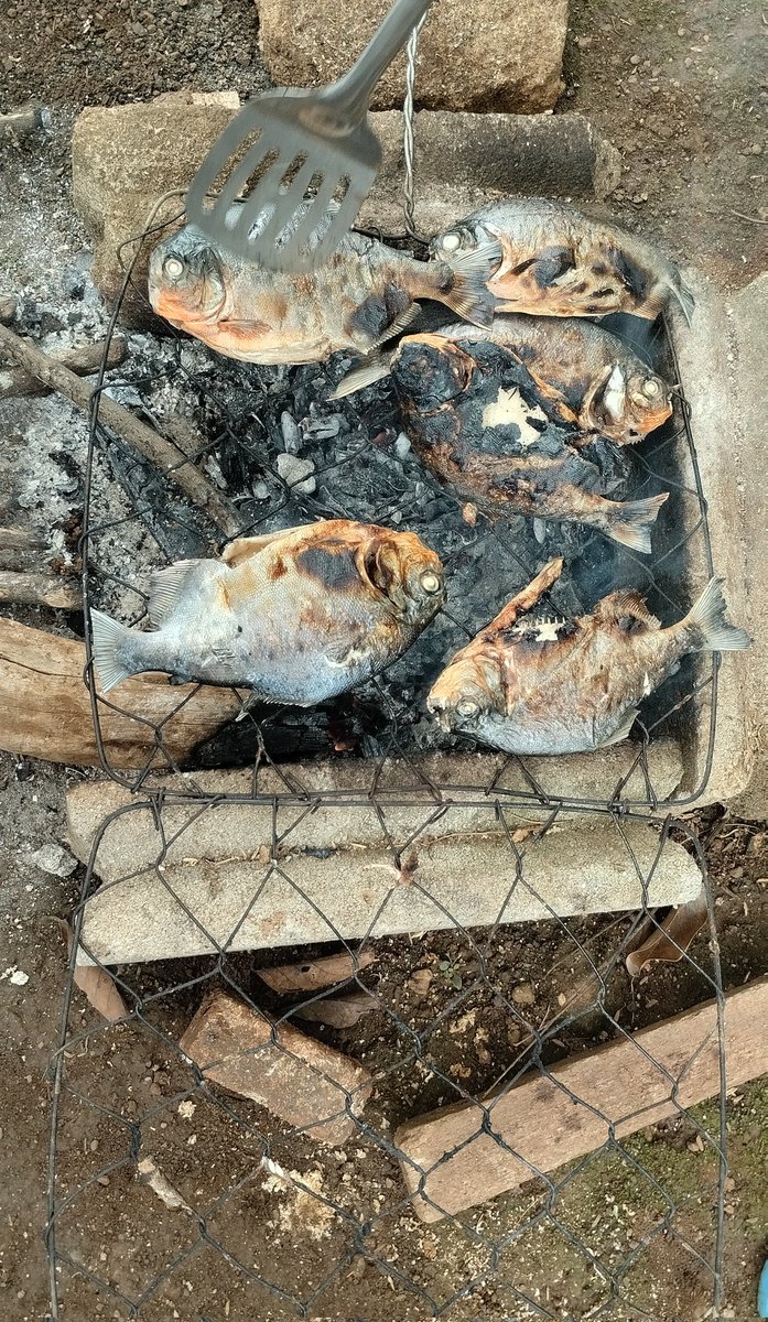 Dosen Kesayanganmu tweet media