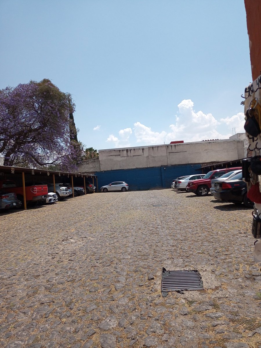 RICHAR QRO tweet media