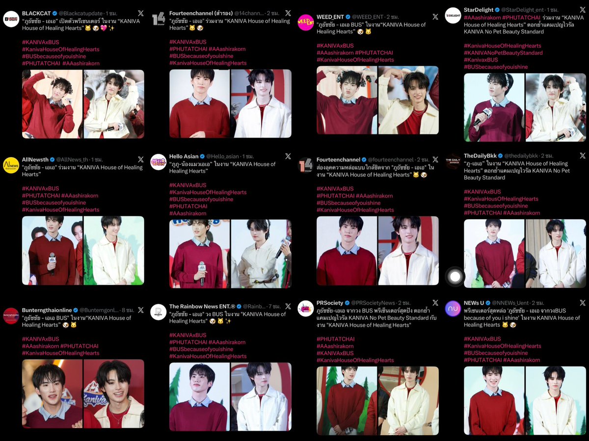 𐙚 𝐋𝐢𝐭𝐭𝐥𝐞 𝐀𝐀 ツ tweet media