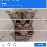 tails_drives's tweet photo. @AlexMasmej @CaptchaApp but we like the catcha slop https://t.co/juMRHvnzc0