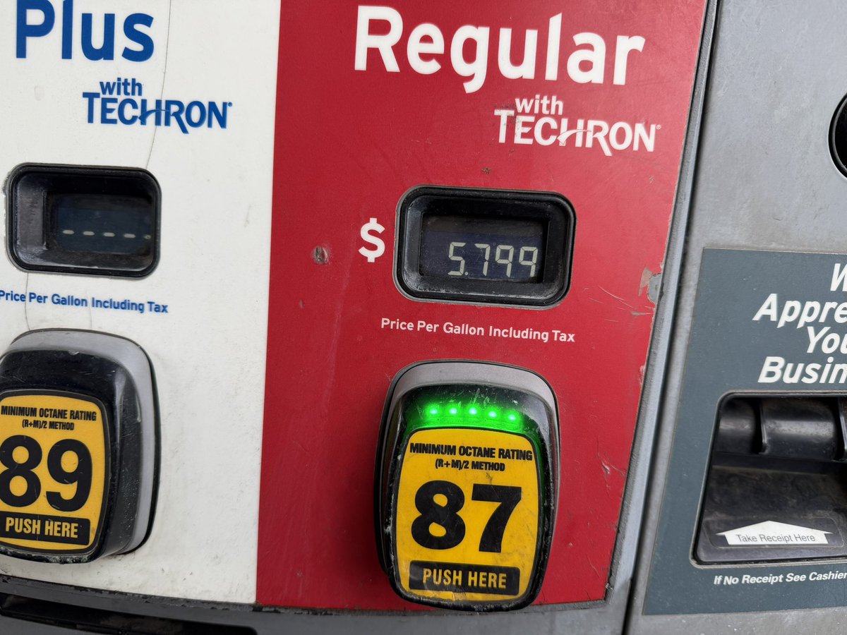 Katie Daviscourt 📸 tweet media