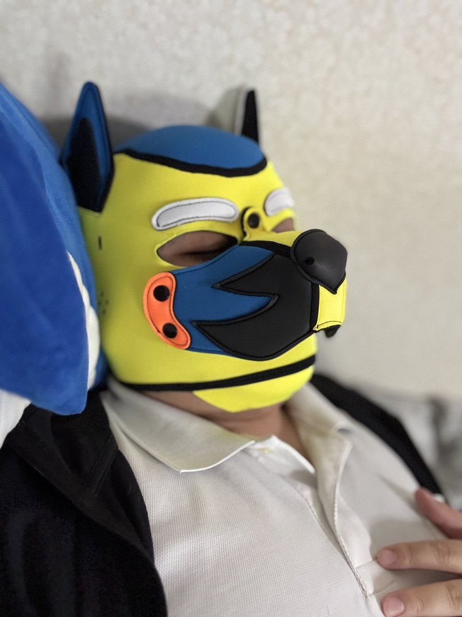 さのすわん🐾 🐕 tweet media