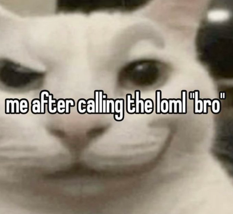 risse 🐝 tweet media