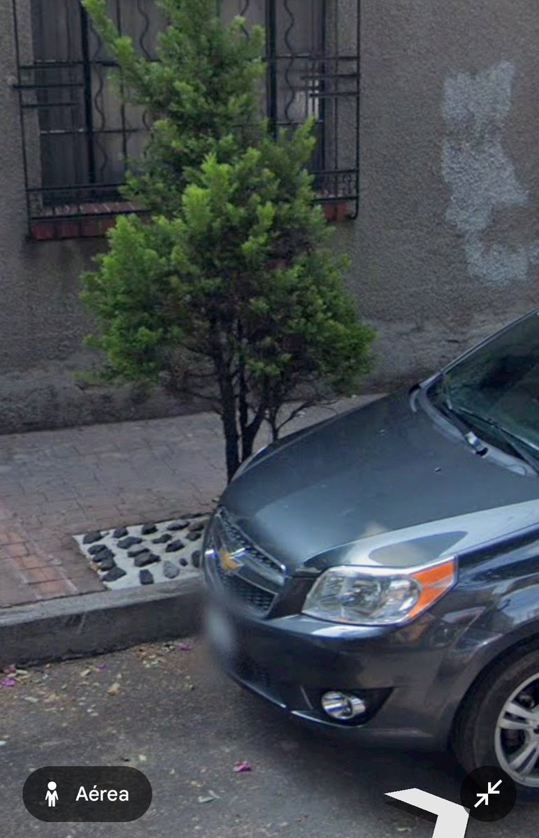 G.E. Ball. tweet media