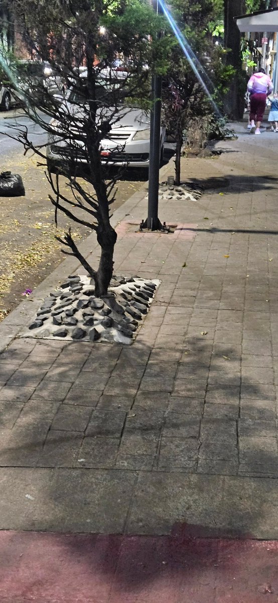 G.E. Ball. tweet media