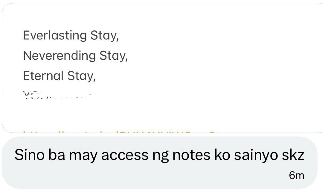 allforskzph's tweet photo. Nag tatantrums po yung writer-admin namin kasi naunahan nanaman ng stray kids yung pang ph concert vcr natin eme (not eme) https://t.co/pJ9V82NPyX