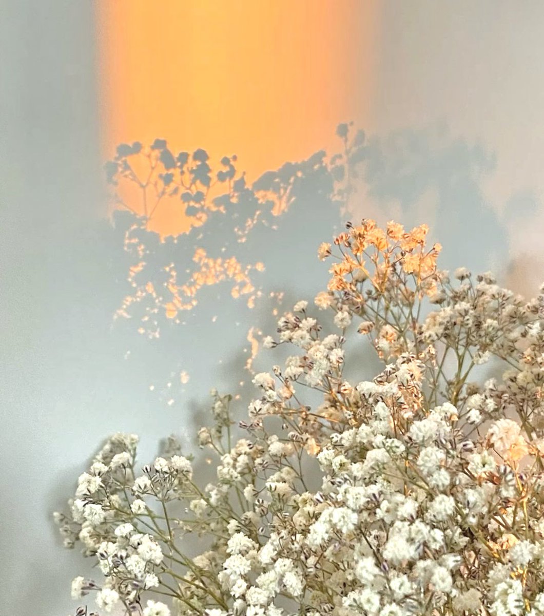 Ruyuf Alhadlaq tweet media