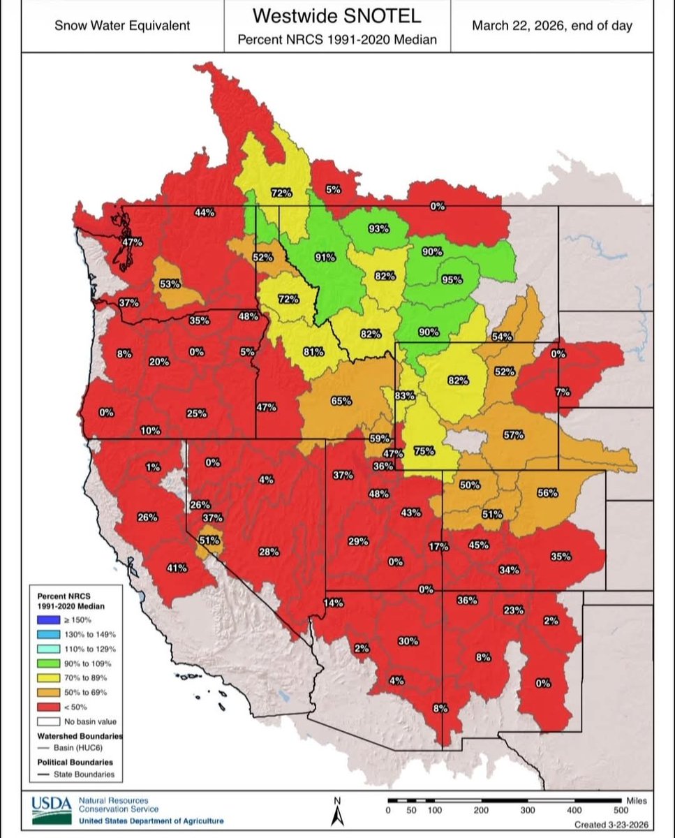 Nature's Writer 🍉 tweet media