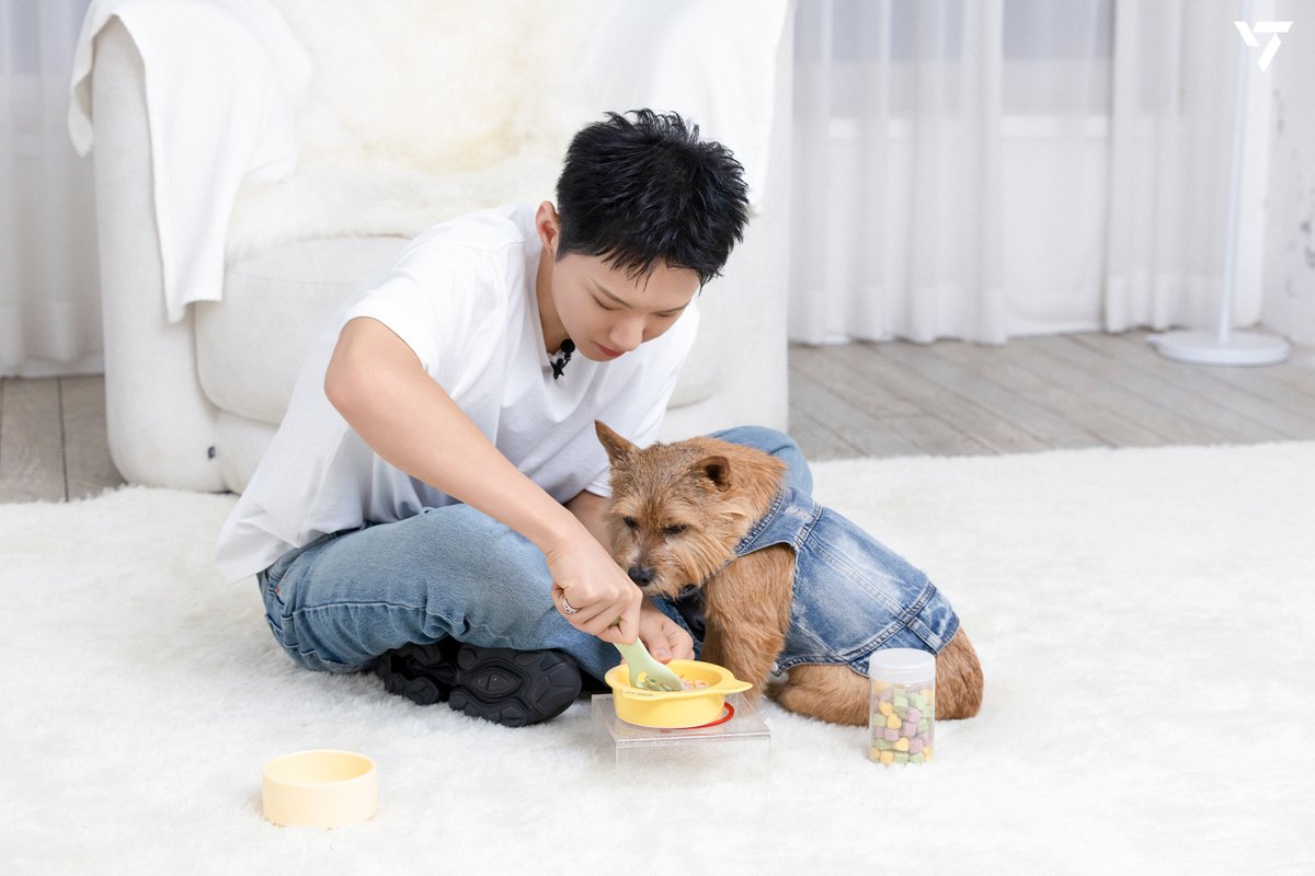 세븐틴(SEVENTEEN) tweet media