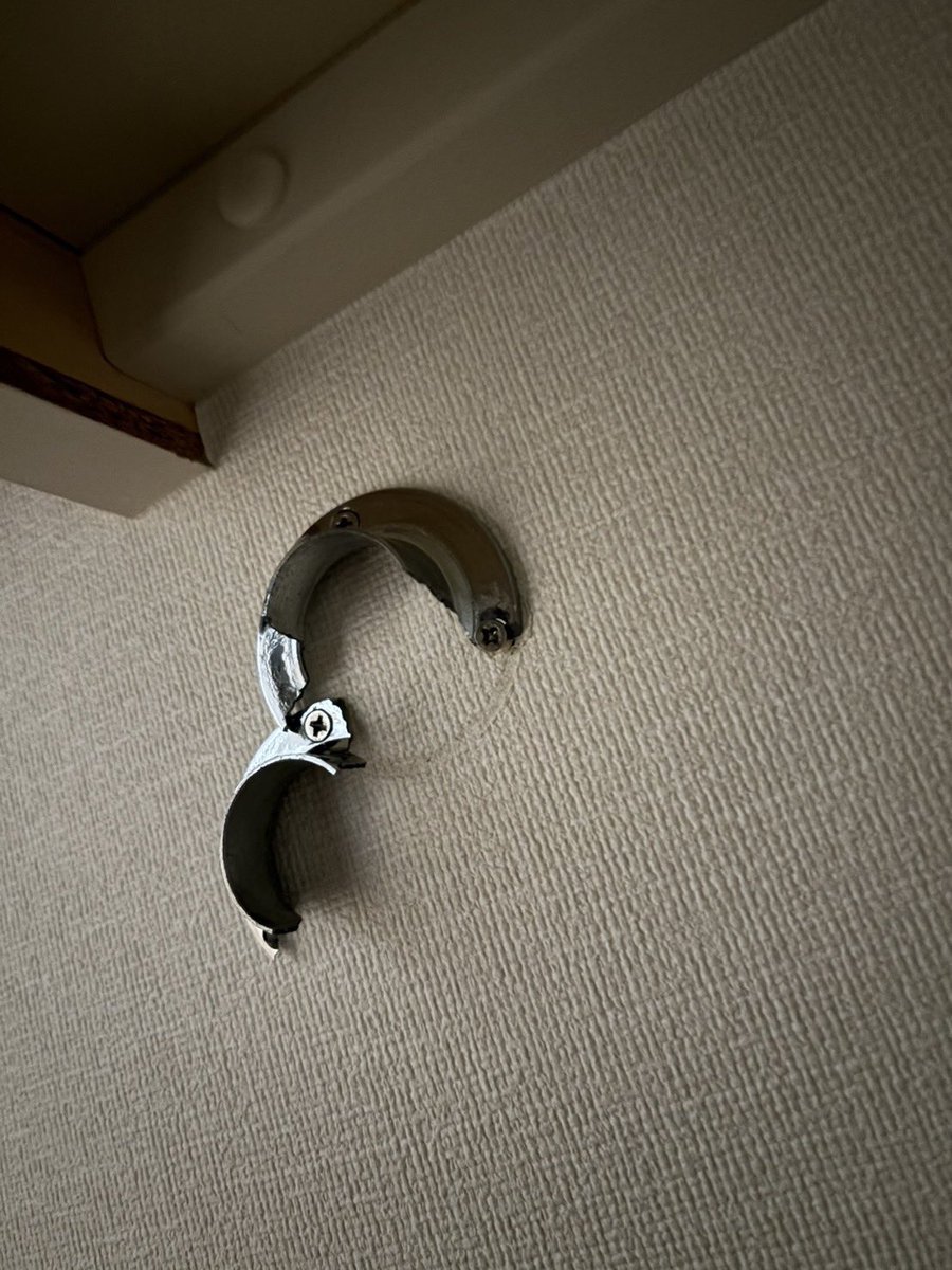 KYOKO🥀🎹@SCORE tweet media