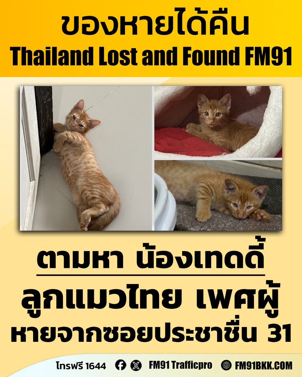 FM91 Trafficpro tweet media