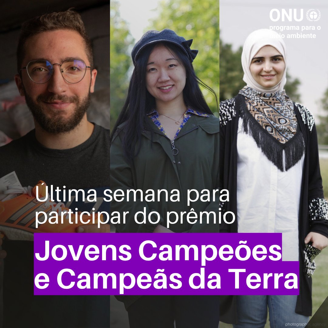 Programa da ONU para o Meio Ambiente tweet media
