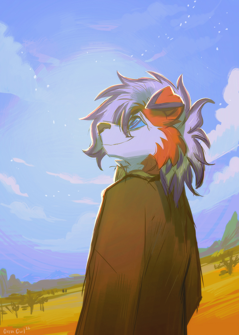 Orca Owl tweet media