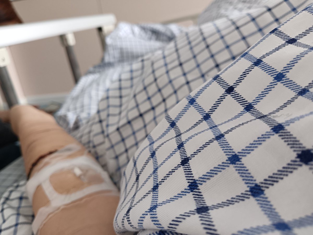 我假装过去不重要 tweet media