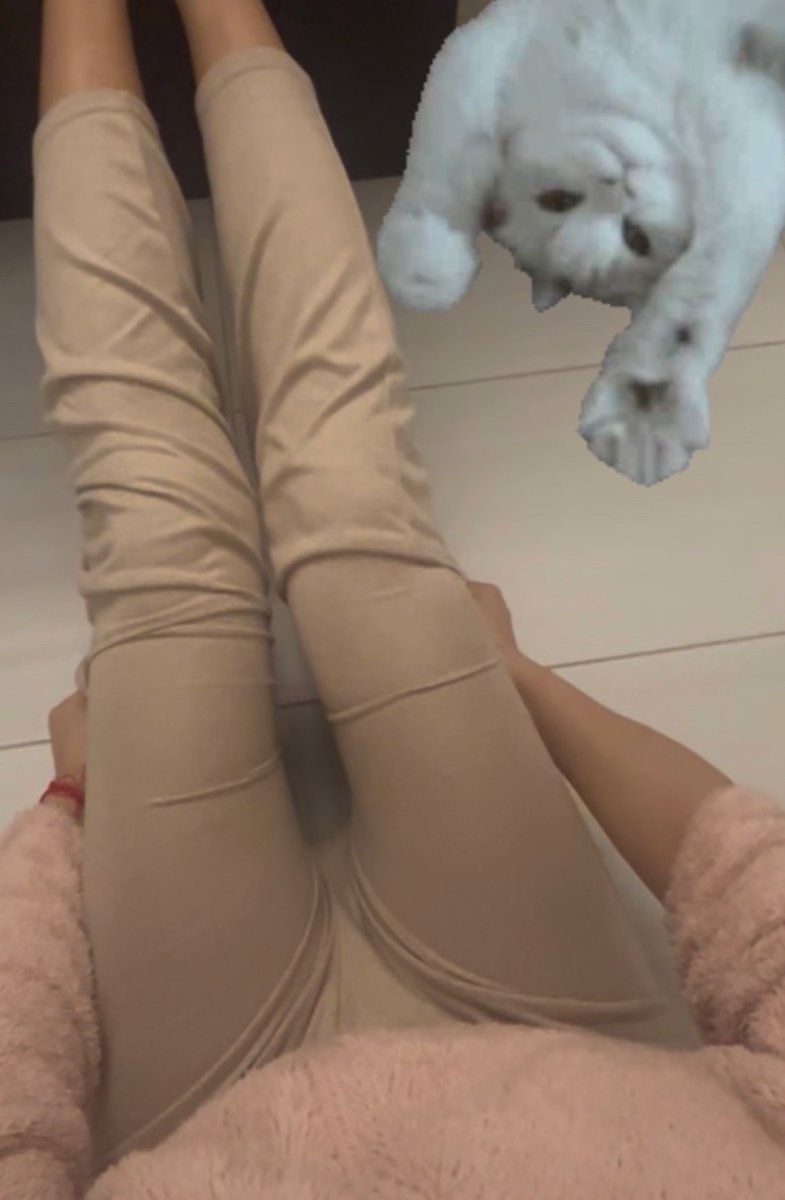 𝓇ℴ𝓇𝓎 🍰| 𝒻ℴ𝓇𝒸ℯ𝒹 𝓇ℯ𝒸ℴ𝓋 🥲 tweet media