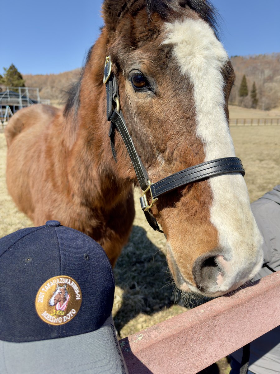 アライン tweet media