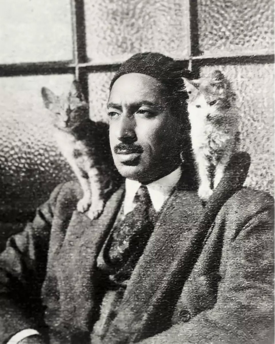 MENA Visuals tweet media