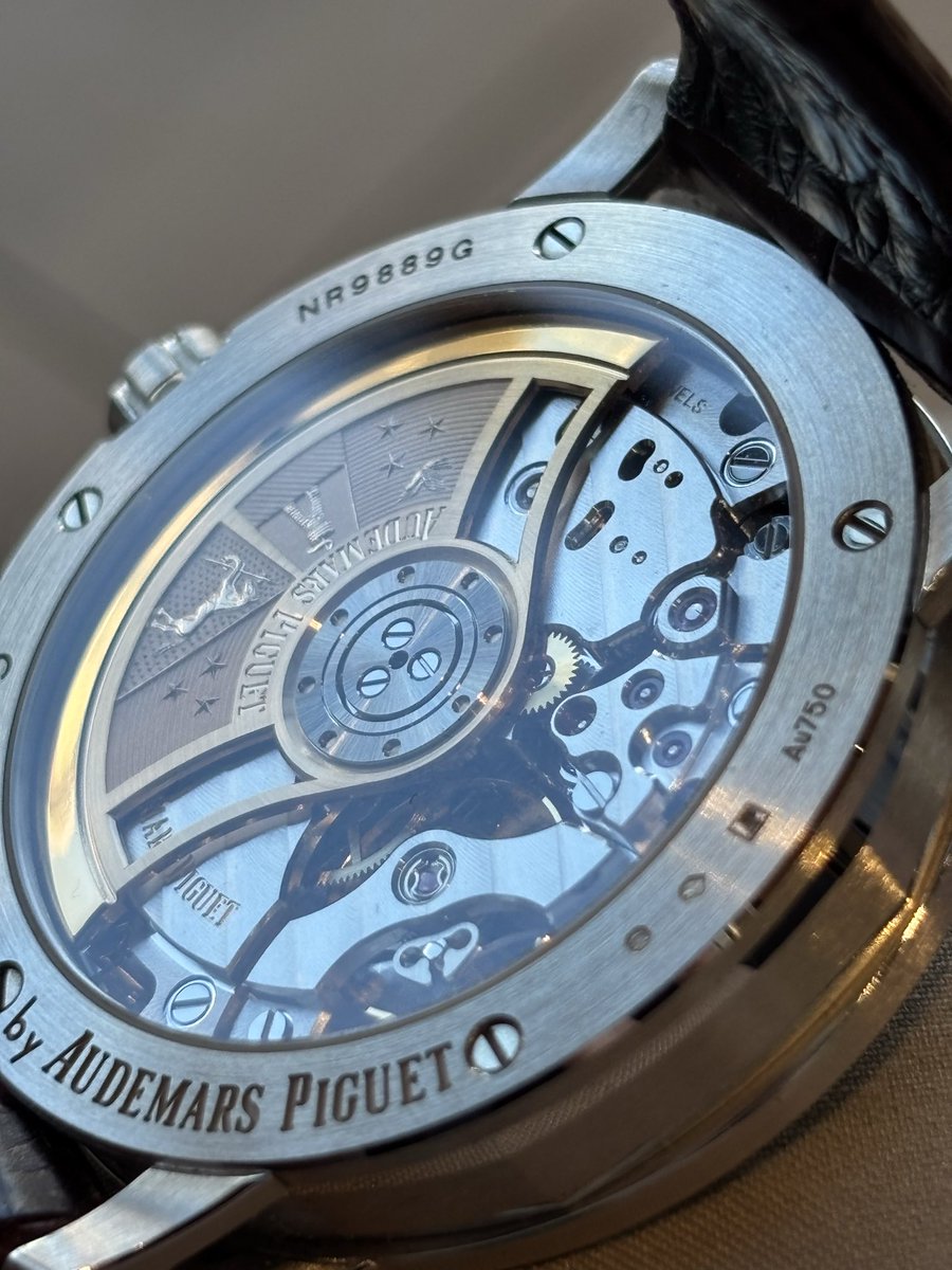 海豚の日常 tweet media