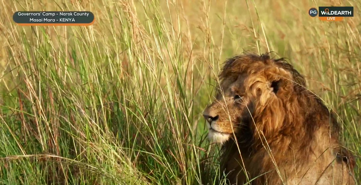 Simoné Venter tweet media