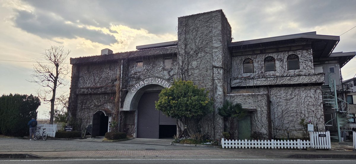 Alternative991 tweet media