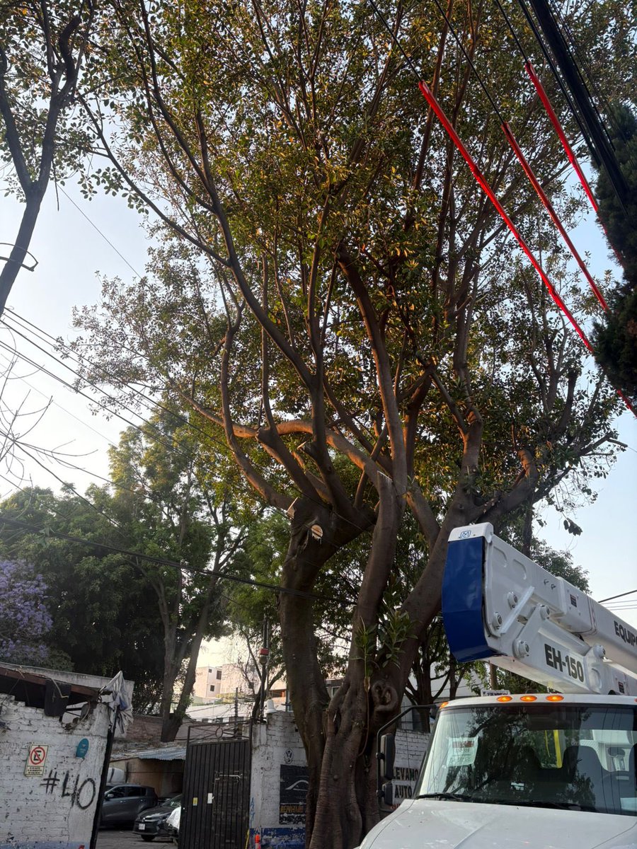 Laura Ballesteros Mancilla 🚲💜💪 tweet media