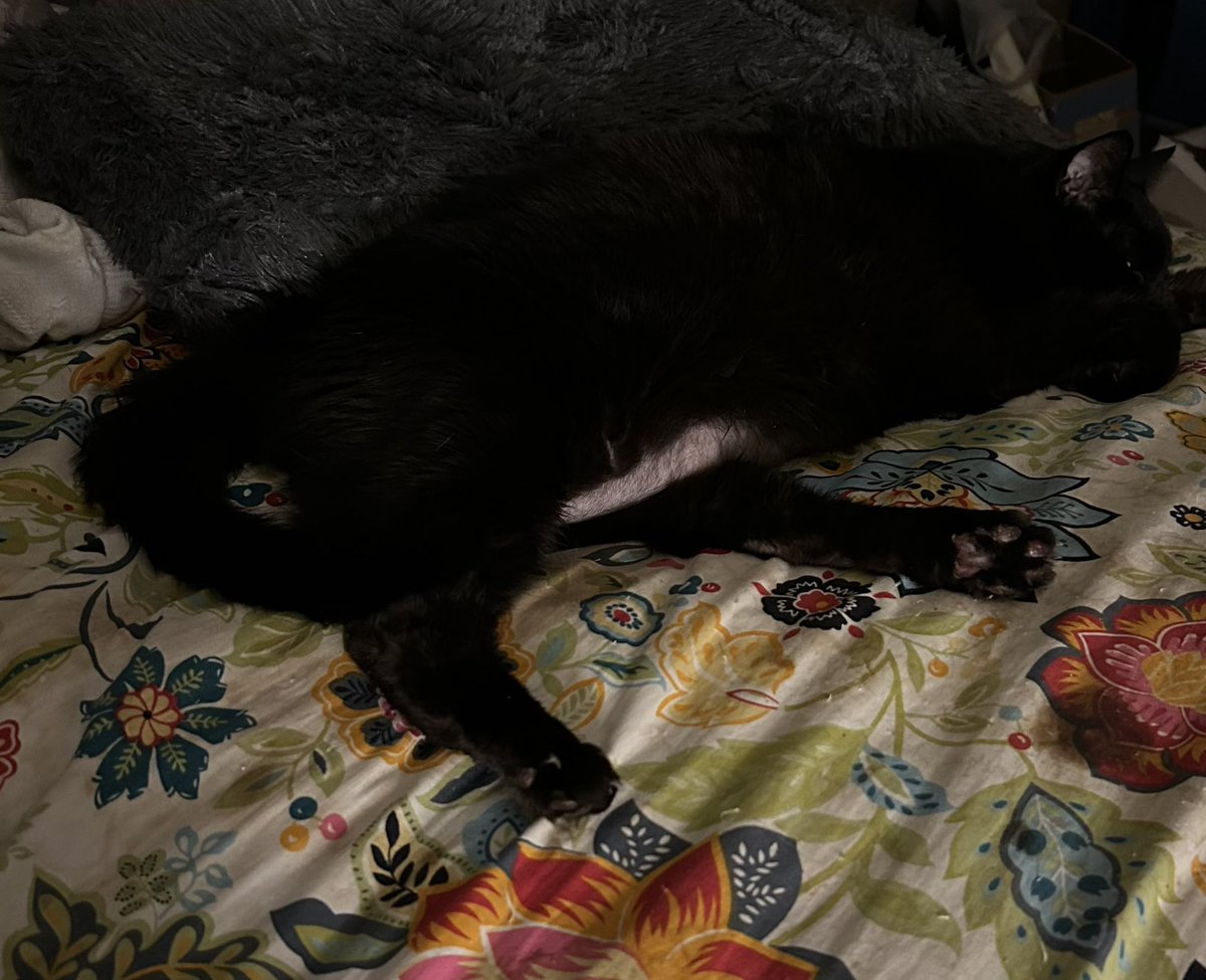 Arya and Mama💔Mabel, Boycee, Hairry tweet media