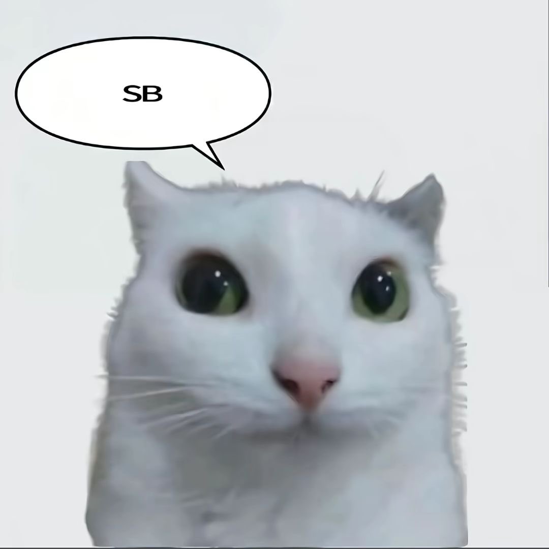 水腥味 tweet media