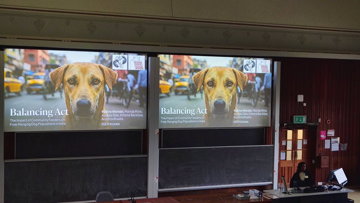 Abhadra7's tweet photo. The #DogLab @iiserkol is being represented by @Tspal01 and @SniffsBarksWags at the ASAB Spring meeting in Bristol. Congratulations Rubina on your first conference talk and Tuhin on your first international trip and both for the ASAB travel grants! https://t.co/DowKTbLSrz