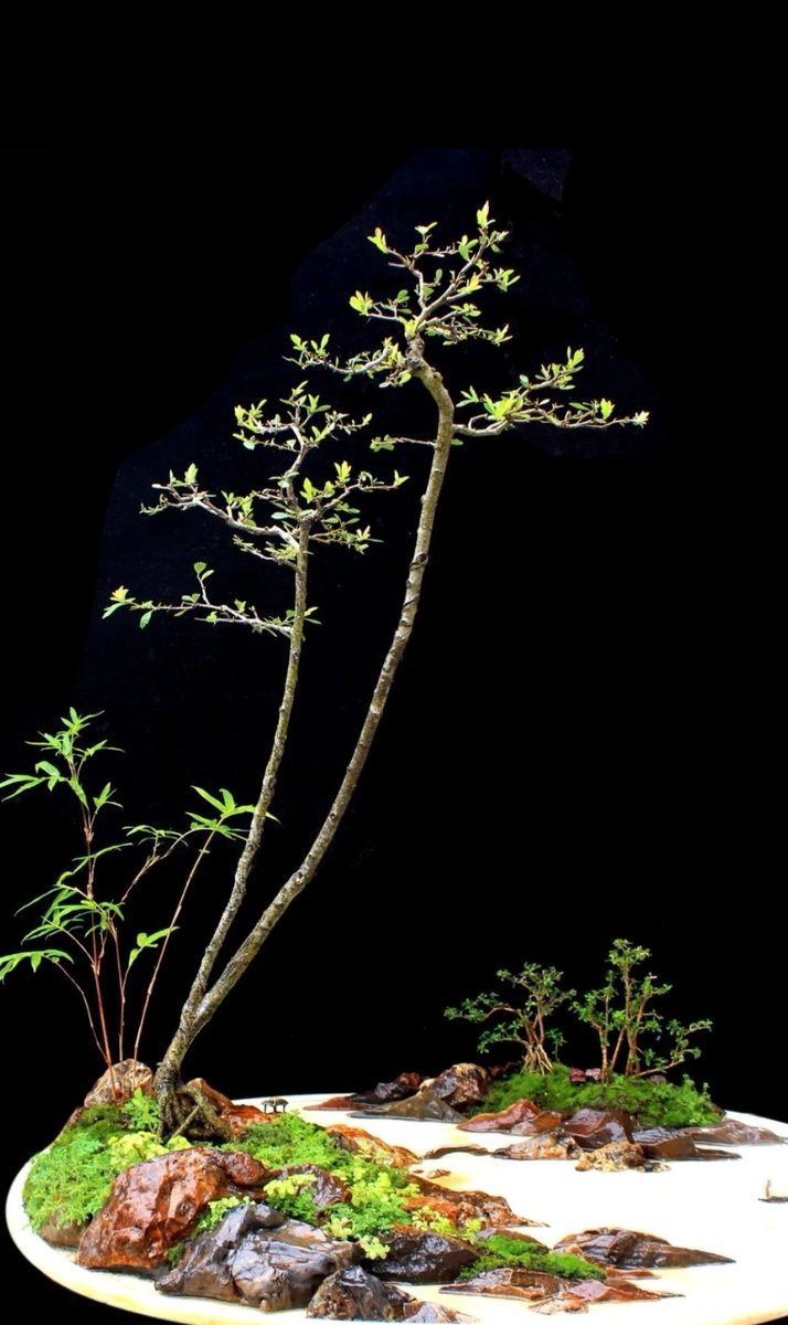 Jek Barde tweet media