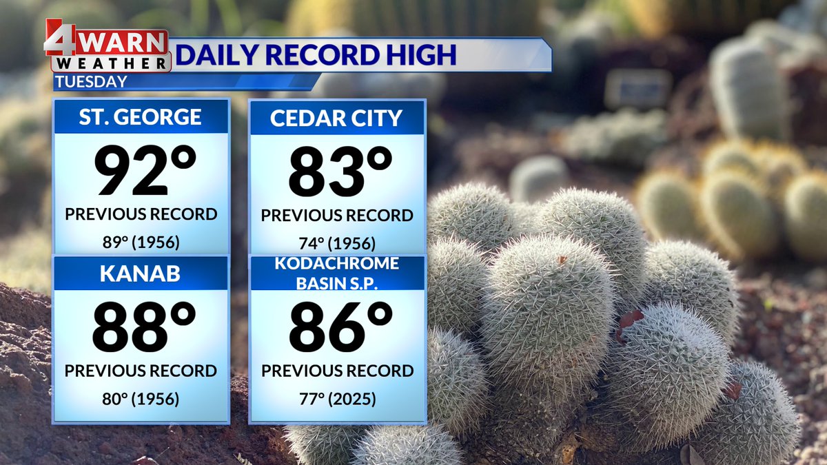 Alana Brophy tweet media