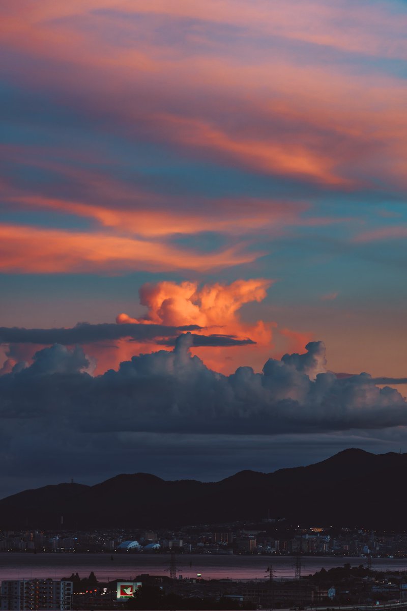 🕊 𓂃𓈒 𓂂𓏸 tweet media