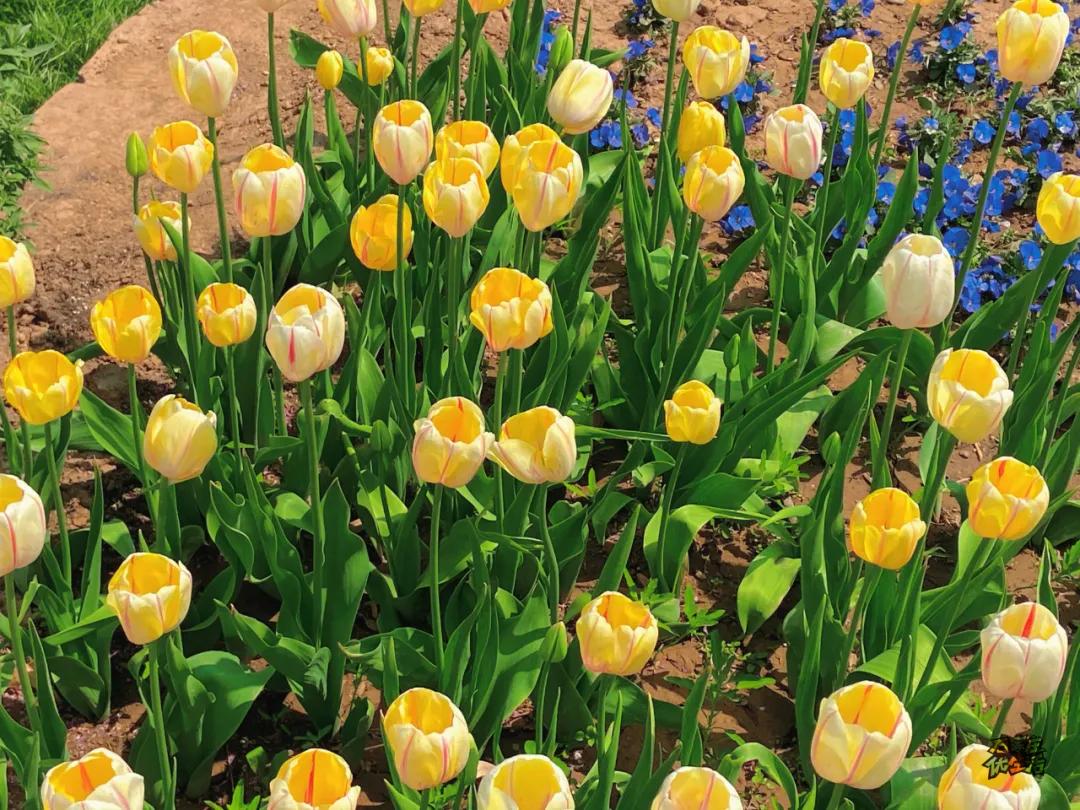 Jacob Haakinson tweet media