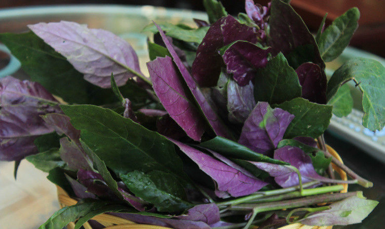 Angelina Wohlgemuth tweet media