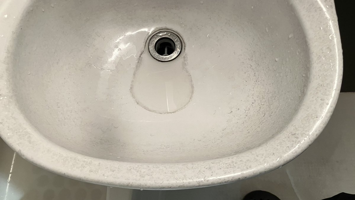 やー的feat.猫 tweet media