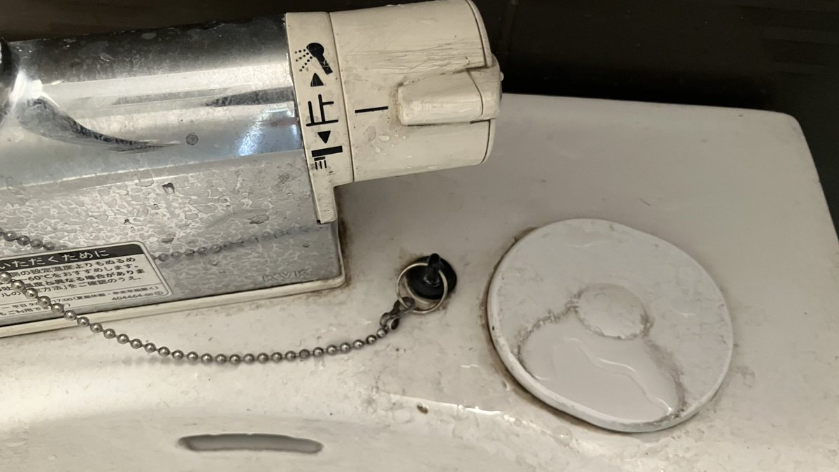 やー的feat.猫 tweet media