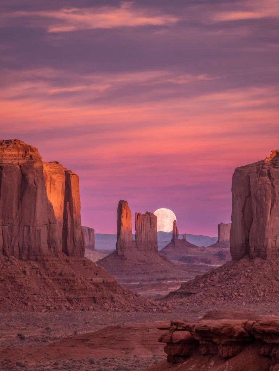 N A T U R E tweet media