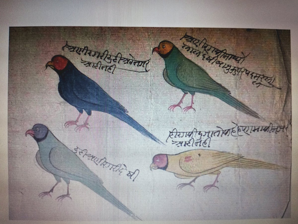 vaibhav pratap singh🇮🇳🇮🇳 tweet media