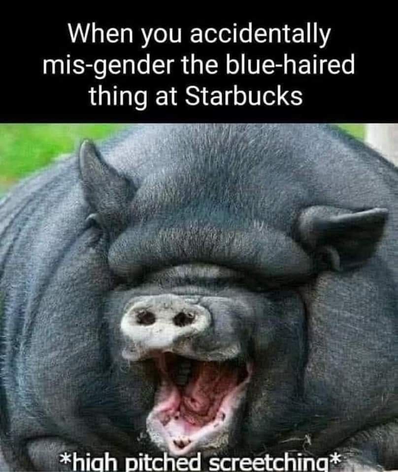 My Views With You tweet media