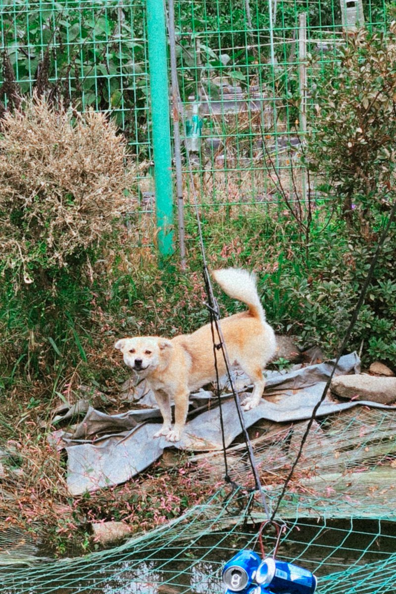 𝑘𝑎𝑡𝑠𝑢𝑠𝑎𝑛𝑑𝑜 📷 🎧 tweet media