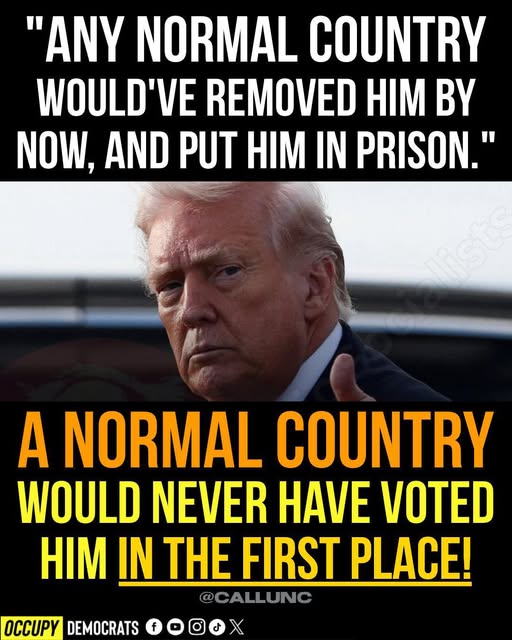 Poppy 💫🇦🇺☮🍅🥒🥕🥭🍊🍋 tweet media