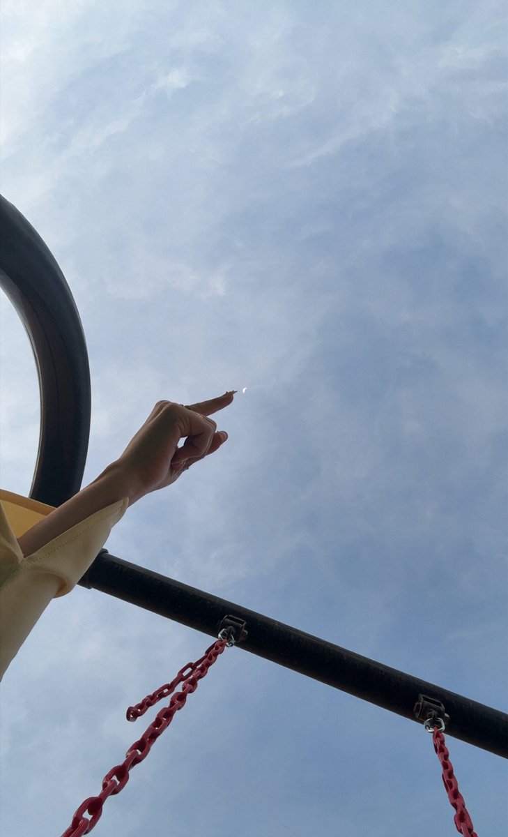 𐙚⋆°🦢｡⋆♡ tweet media